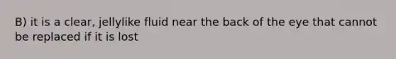 B) it is a clear, jellylike fluid near the back of the eye that cannot be replaced if it is lost