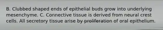 B. Clubbed shaped ends of epithelial buds grow into underlying mesenchyme. C. Connective tissue is derived from neural crest cells. All secretory tissue arise by proliferation of oral epithelium.