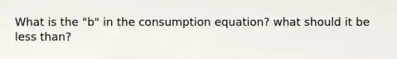 What is the "b" in the consumption equation? what should it be less than?