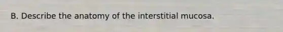 B. Describe the anatomy of the interstitial mucosa.