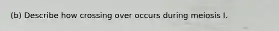 (b) Describe how crossing over occurs during meiosis I.