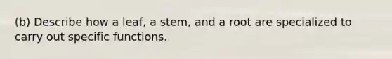 (b) Describe how a leaf, a stem, and a root are specialized to carry out specific functions.