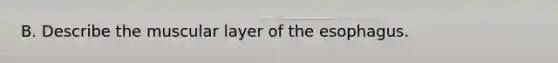 B. Describe the muscular layer of the esophagus.