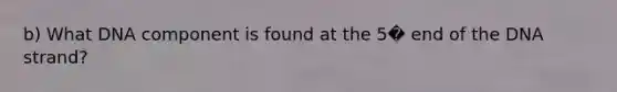 b) What DNA component is found at the 5� end of the DNA strand?