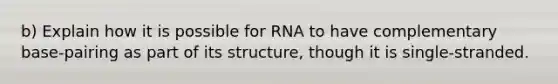 b) Explain how it is possible for RNA to have complementary base-pairing as part of its structure, though it is single-stranded.