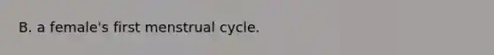 B. a female's first menstrual cycle.