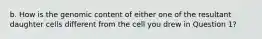 b. How is the genomic content of either one of the resultant daughter cells different from the cell you drew in Question 1?