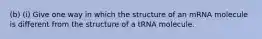 (b) (i) Give one way in which the structure of an mRNA molecule is different from the structure of a tRNA molecule.