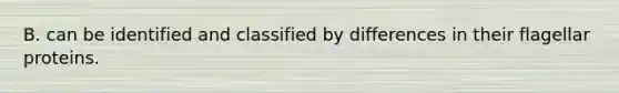 B. can be identified and classified by differences in their flagellar proteins.