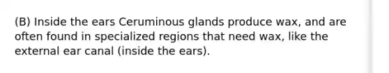 (B) Inside the ears Ceruminous glands produce wax, and are often found in specialized regions that need wax, like the external ear canal (inside the ears).