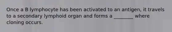 Once a B lymphocyte has been activated to an antigen, it travels to a secondary lymphoid organ and forms a ________ where cloning occurs.