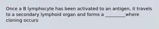 Once a B lymphocyte has been activated to an antigen, it travels to a secondary lymphoid organ and forms a _________where cloning occurs