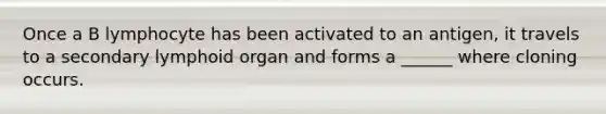 Once a B lymphocyte has been activated to an antigen, it travels to a secondary lymphoid organ and forms a ______ where cloning occurs.