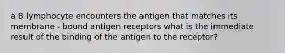 a B lymphocyte encounters the antigen that matches its membrane - bound antigen receptors what is the immediate result of the binding of the antigen to the receptor?