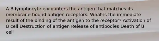 A B lymphocyte encounters the antigen that matches its membrane-bound antigen receptors. What is the immediate result of the binding of the antigen to the receptor? Activation of B cell Destruction of antigen Release of antibodies Death of B cell