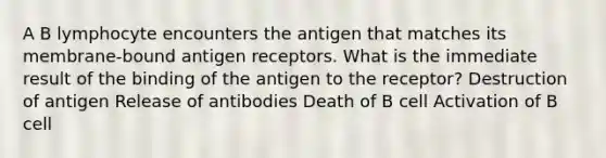 A B lymphocyte encounters the antigen that matches its membrane-bound antigen receptors. What is the immediate result of the binding of the antigen to the receptor? Destruction of antigen Release of antibodies Death of B cell Activation of B cell