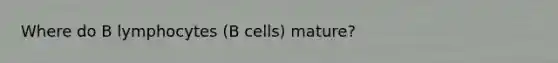 Where do B lymphocytes (B cells) mature?