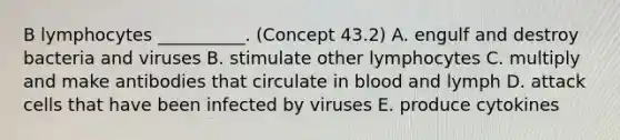 B lymphocytes __________. (Concept 43.2) A. engulf and destroy bacteria and viruses B. stimulate other lymphocytes C. multiply and make antibodies that circulate in blood and lymph D. attack cells that have been infected by viruses E. produce cytokines