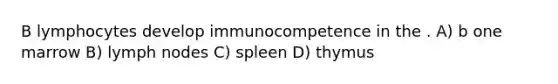 B lymphocytes develop immunocompetence in the . A) b one marrow B) lymph nodes C) spleen D) thymus