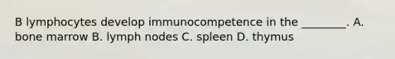 B lymphocytes develop immunocompetence in the ________. A. bone marrow B. lymph nodes C. spleen D. thymus