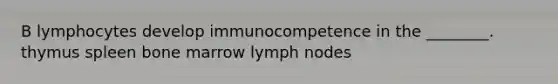 B lymphocytes develop immunocompetence in the ________. thymus spleen bone marrow lymph nodes