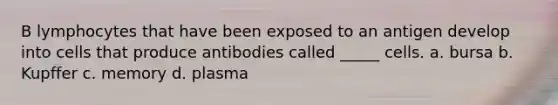 B lymphocytes that have been exposed to an antigen develop into cells that produce antibodies called _____ cells. a. bursa b. Kupffer c. memory d. plasma