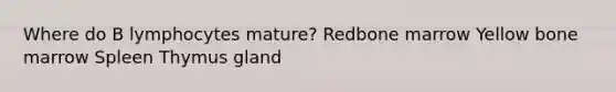 Where do B lymphocytes mature? Redbone marrow Yellow bone marrow Spleen Thymus gland