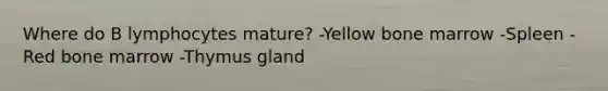 Where do B lymphocytes mature? -Yellow bone marrow -Spleen -Red bone marrow -Thymus gland