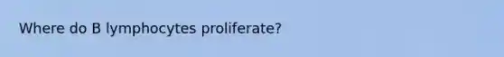 Where do B lymphocytes proliferate?