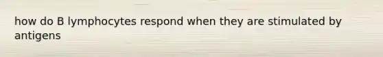 how do B lymphocytes respond when they are stimulated by antigens