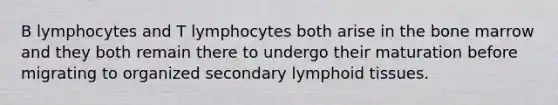 B lymphocytes and T lymphocytes both arise in the bone marrow and they both remain there to undergo their maturation before migrating to organized secondary lymphoid tissues.