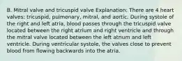 B. Mitral valve and tricuspid valve Explanation: There are 4 heart valves: tricuspid, pulmonary, mitral, and aortic. During systole of the right and left atria, blood passes through the tricuspid valve located between the right atrium and right ventricle and through the mitral valve located between the left atrium and left ventricle. During ventricular systole, the valves close to prevent blood from flowing backwards into the atria.