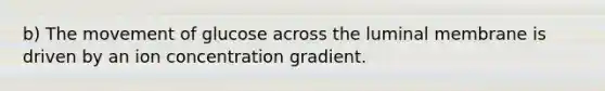 b) The movement of glucose across the luminal membrane is driven by an ion concentration gradient.