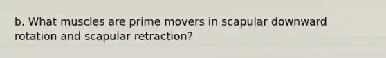 b. What muscles are prime movers in scapular downward rotation and scapular retraction?