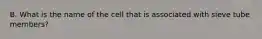 B. What is the name of the cell that is associated with sieve tube members?