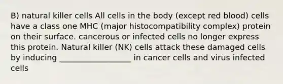 B) natural killer cells All cells in the body (except red blood) cells have a class one MHC (major histocompatibility complex) protein on their surface. cancerous or infected cells no longer express this protein. Natural killer (NK) cells attack these damaged cells by inducing __________________ in cancer cells and virus infected cells