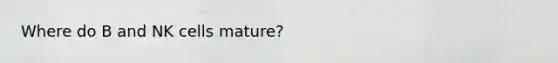 Where do B and NK cells mature?