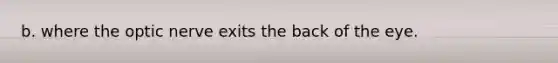 b. where the optic nerve exits the back of the eye.