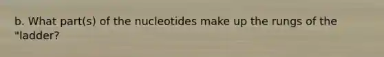 b. What part(s) of the nucleotides make up the rungs of the "ladder?