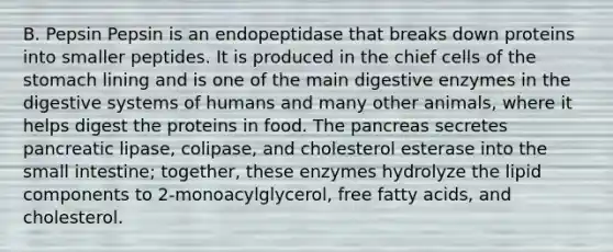 B. Pepsin Pepsin is an endopeptidase that breaks down proteins into smaller peptides. It is produced in the chief cells of the stomach lining and is one of the main digestive enzymes in the digestive systems of humans and many other animals, where it helps digest the proteins in food. The pancreas secretes pancreatic lipase, colipase, and cholesterol esterase into the small intestine; together, these enzymes hydrolyze the lipid components to 2-monoacylglycerol, free fatty acids, and cholesterol.