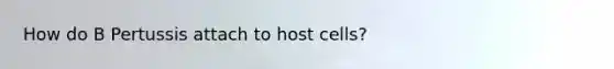 How do B Pertussis attach to host cells?