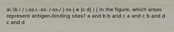 a b / / -ss- -ss- /-ss-/ |-ss-| e |c d| | | In the figure, which areas represent antigen-binding sites? a and b b and c a and c b and d c and d