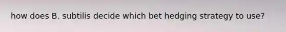 how does B. subtilis decide which bet hedging strategy to use?