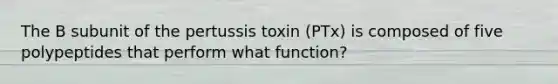 The B subunit of the pertussis toxin (PTx) is composed of five polypeptides that perform what function?