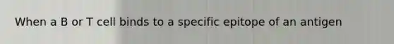 When a B or T cell binds to a specific epitope of an antigen