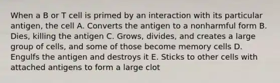 When a B or T cell is primed by an interaction with its particular antigen, the cell A. Converts the antigen to a nonharmful form B. Dies, killing the antigen C. Grows, divides, and creates a large group of cells, and some of those become memory cells D. Engulfs the antigen and destroys it E. Sticks to other cells with attached antigens to form a large clot