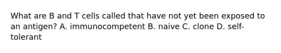 What are B and T cells called that have not yet been exposed to an antigen? A. immunocompetent B. naive C. clone D. self-tolerant