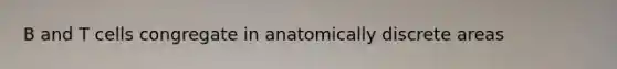 B and T cells congregate in anatomically discrete areas