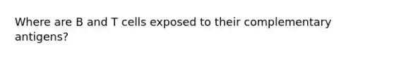 Where are B and T cells exposed to their complementary antigens?