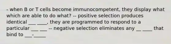 - when B or T cells become immunocompetent, they display what which are able to do what? -- positive selection produces identical ___ ____, they are programmed to respond to a particular ___ ___ -- negative selection eliminates any __ ____ that bind to ___-_____